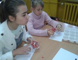 Miniaturka zdjęcia