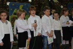 Miniaturka zdjęcia