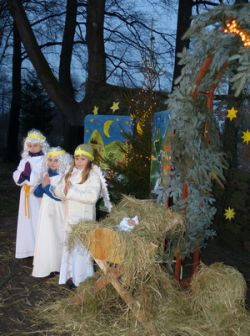 Miniaturka zdjęcia