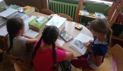 Miniaturka zdjęcia