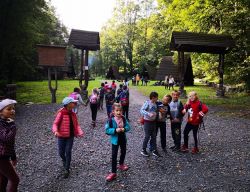 Miniaturka zdjęcia