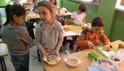 Miniaturka zdjęcia