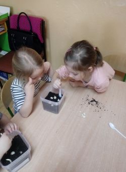 Miniaturka zdjęcia