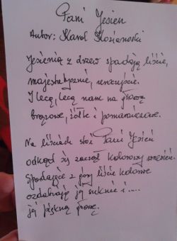 Miniaturka zdjęcia