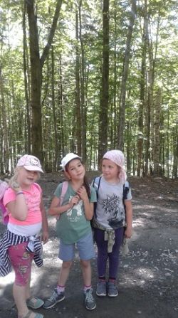 Miniaturka zdjęcia