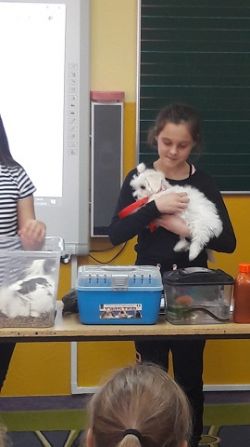 Miniaturka zdjęcia