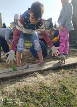 Miniaturka zdjęcia