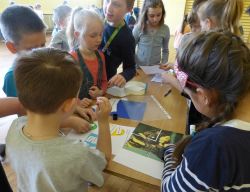 Miniaturka zdjęcia