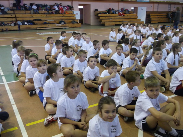 Obraz: 