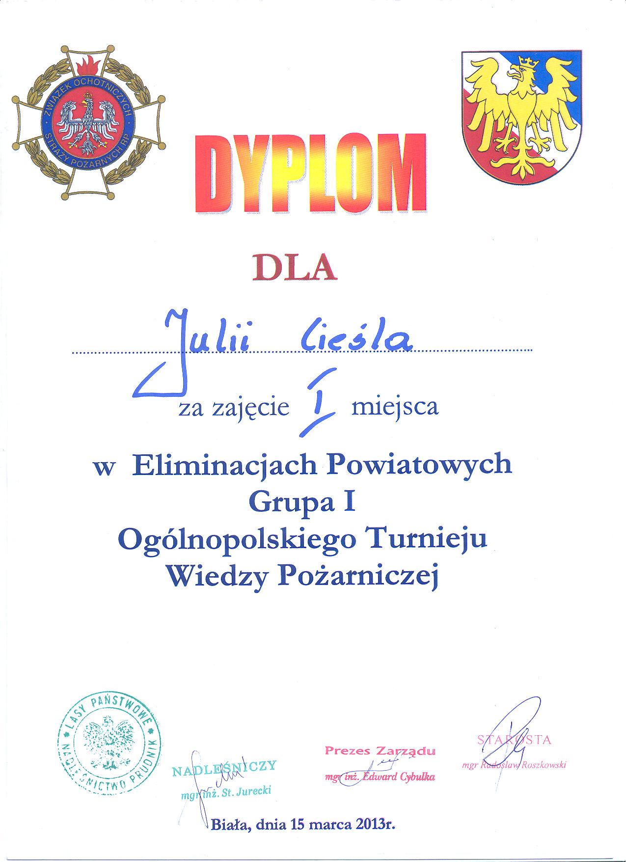 Obraz: