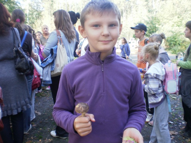 Obraz: 
