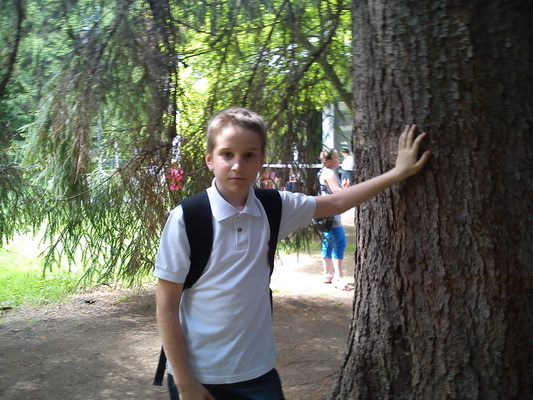 Obraz: