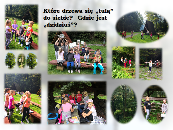 Obraz: