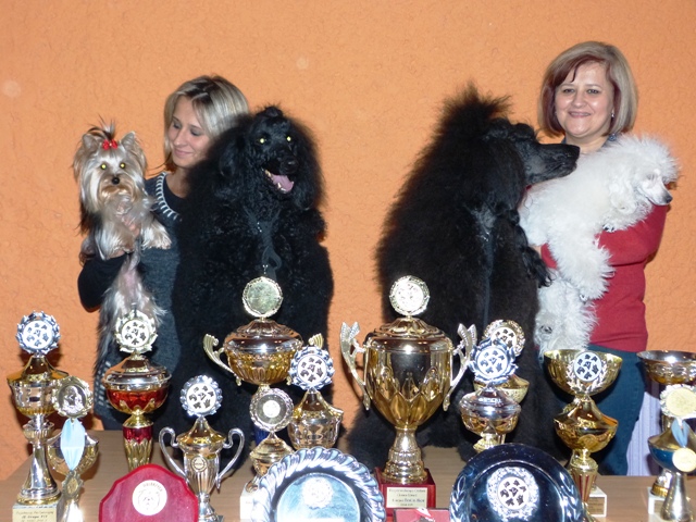 Obraz: 