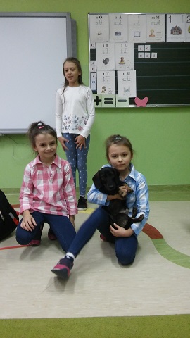 Obraz: