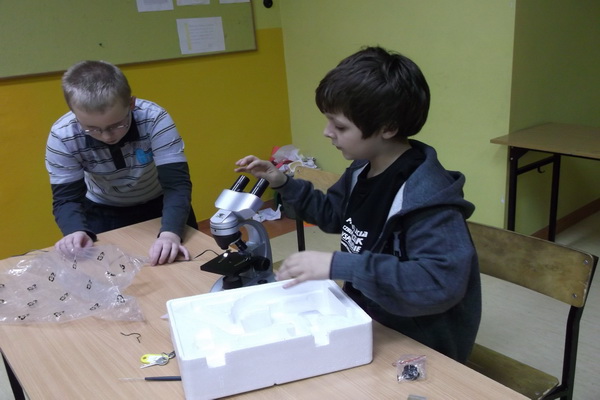 Obraz: 