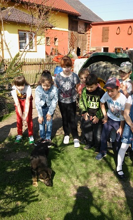 Obraz: