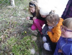 Obraz wyróżniający aktualność