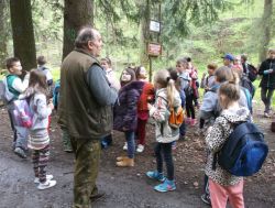 Obraz wyróżniający aktualność