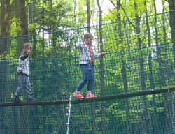 Obraz wyróżniający aktualność