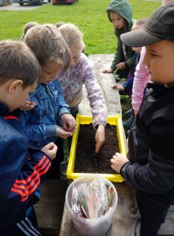 Obraz wyróżniający aktualność