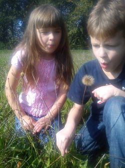 Obraz wyróżniający aktualność