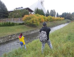 Obraz wyróżniający aktualność