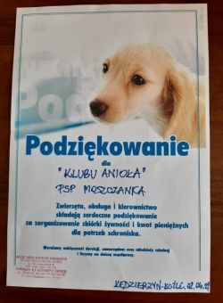 Obraz wyróżniający aktualność