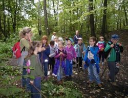 Obraz wyróżniający aktualność