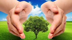 Obraz wyróżniający aktualność