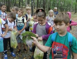 Obraz wyróżniający aktualność