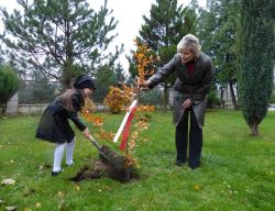 Obraz wyróżniający aktualność