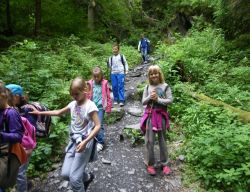 Obraz wyróżniający aktualność