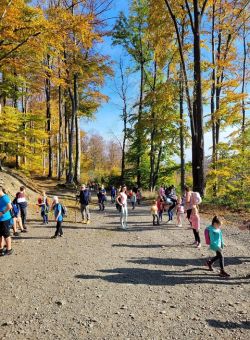 Obraz wyróżniający aktualność