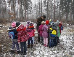 Obraz wyróżniający aktualność
