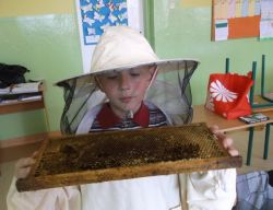 Obraz wyróżniający aktualność