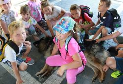 Obraz wyróżniający aktualność