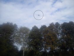 Obraz wyróżniający aktualność