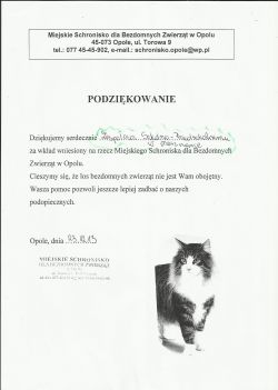Obraz wyróżniający aktualność