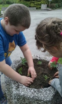 Obraz wyróżniający aktualność