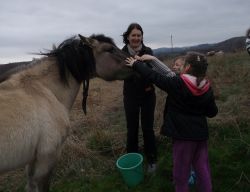 Obraz wyróżniający aktualność